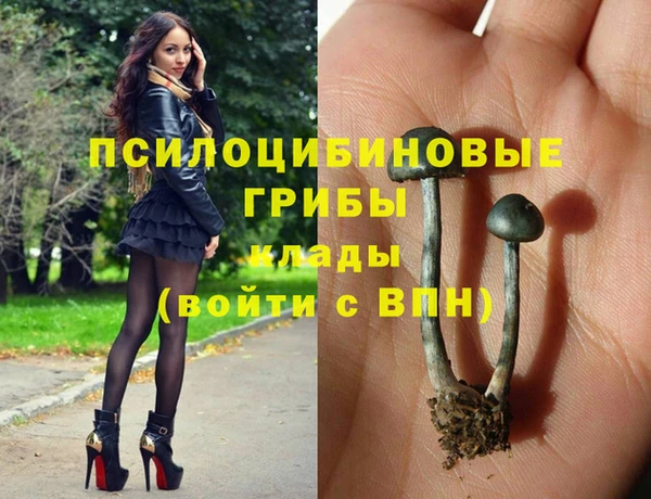 МДМА Бородино